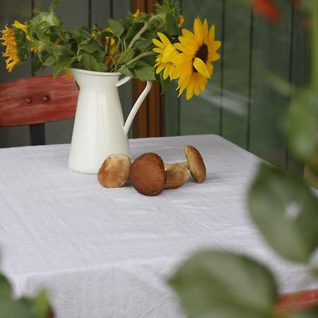 Holiday Home Trnavsko Bogojina Dış mekan fotoğraf