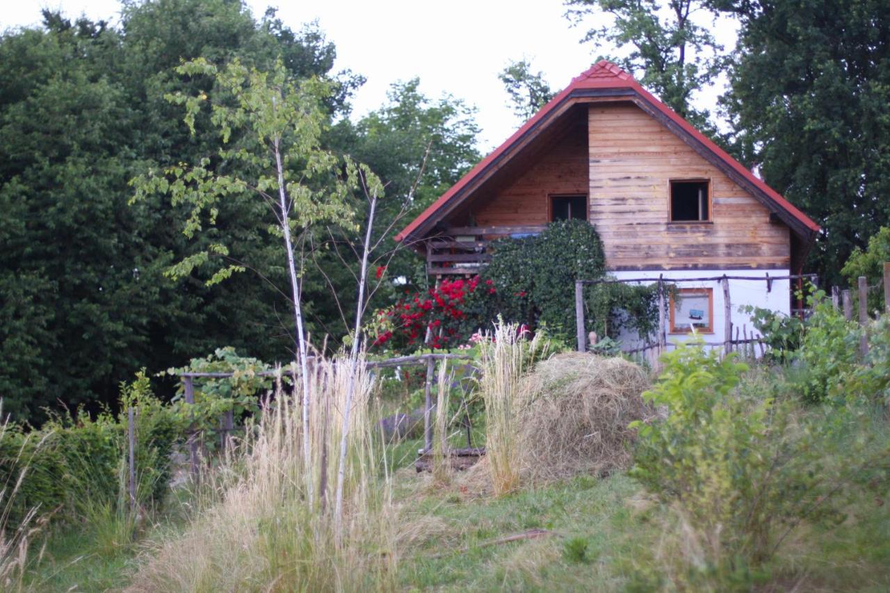 Holiday Home Trnavsko Bogojina Dış mekan fotoğraf
