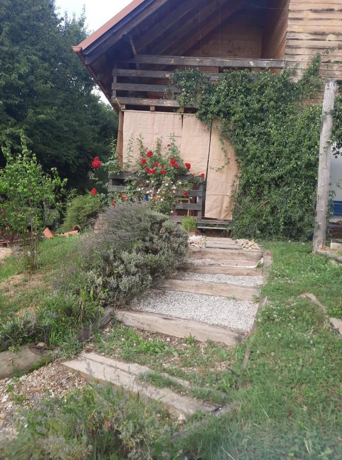 Holiday Home Trnavsko Bogojina Dış mekan fotoğraf